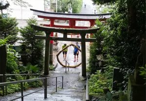 夏越大祓　茅の輪をくぐり　烏子稲荷神社