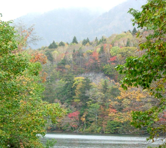 丸沼 菅沼の紅葉は９月中旬から１０月上旬に始まり 見頃は１０月中旬まで続きます 群馬めぐり