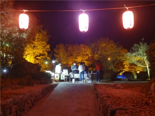桜山公園　紅葉ライトアップ